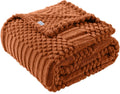 Soft and Fluffy Fleece Throw Blanket