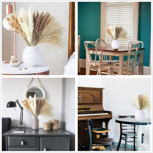 Dried Pampas Grass Decor